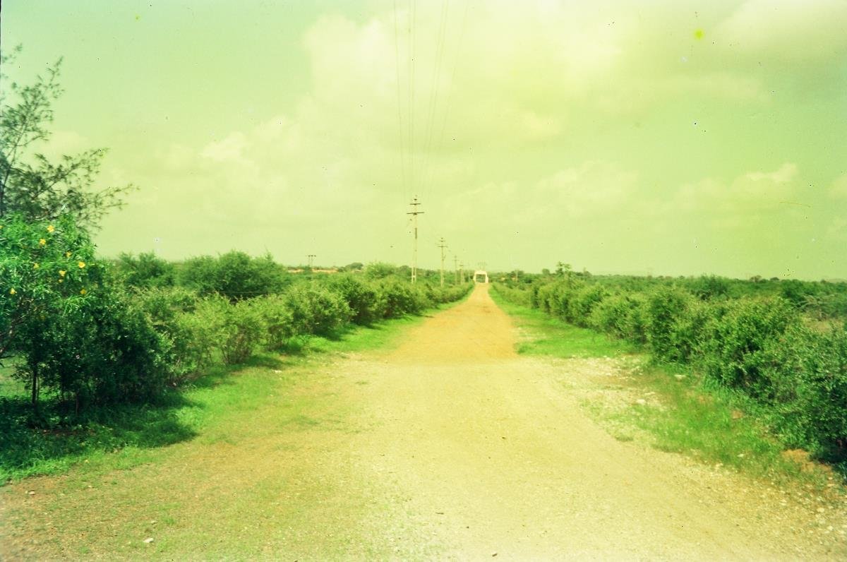 Dhari Research Station Approach
